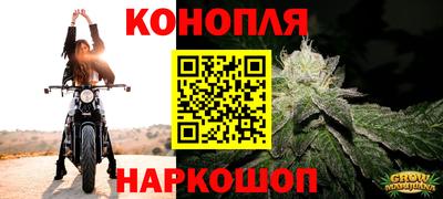 СК Новокубанск