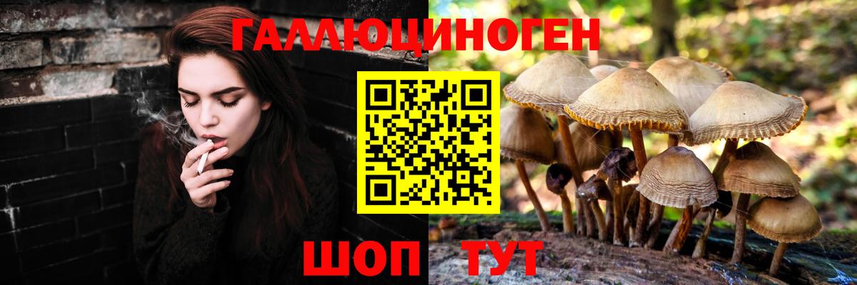 Галлюциногенные грибы мухоморы Старая Купавна